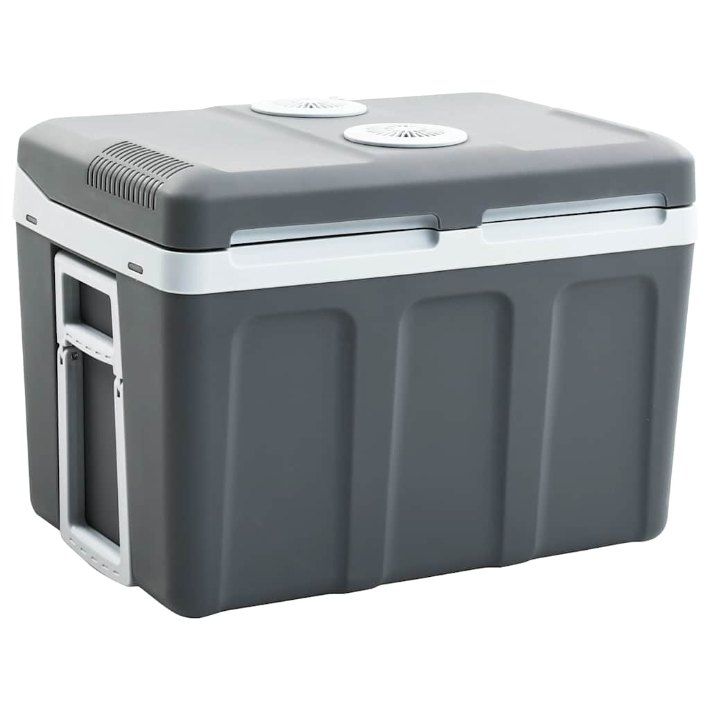 Glacière portable thermoélectrique 40 L 12 V 230 V E