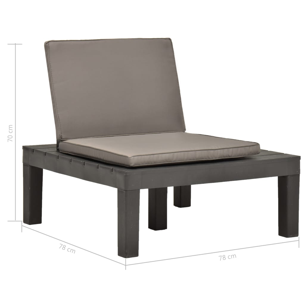 Chaises de salon de jardin et coussins 2pc Plastique Anthracite