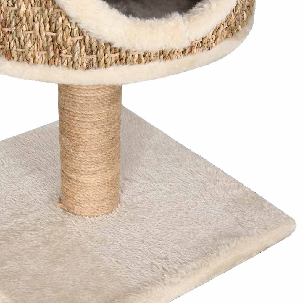 Arbre à chat avec appartement et griffoir 52 cm Herbiers marins