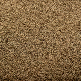 Washable doormat Brown 40x60 cm