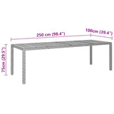 Table de jardin gris 250x100x75 cm résine tressée/bois d'acacia