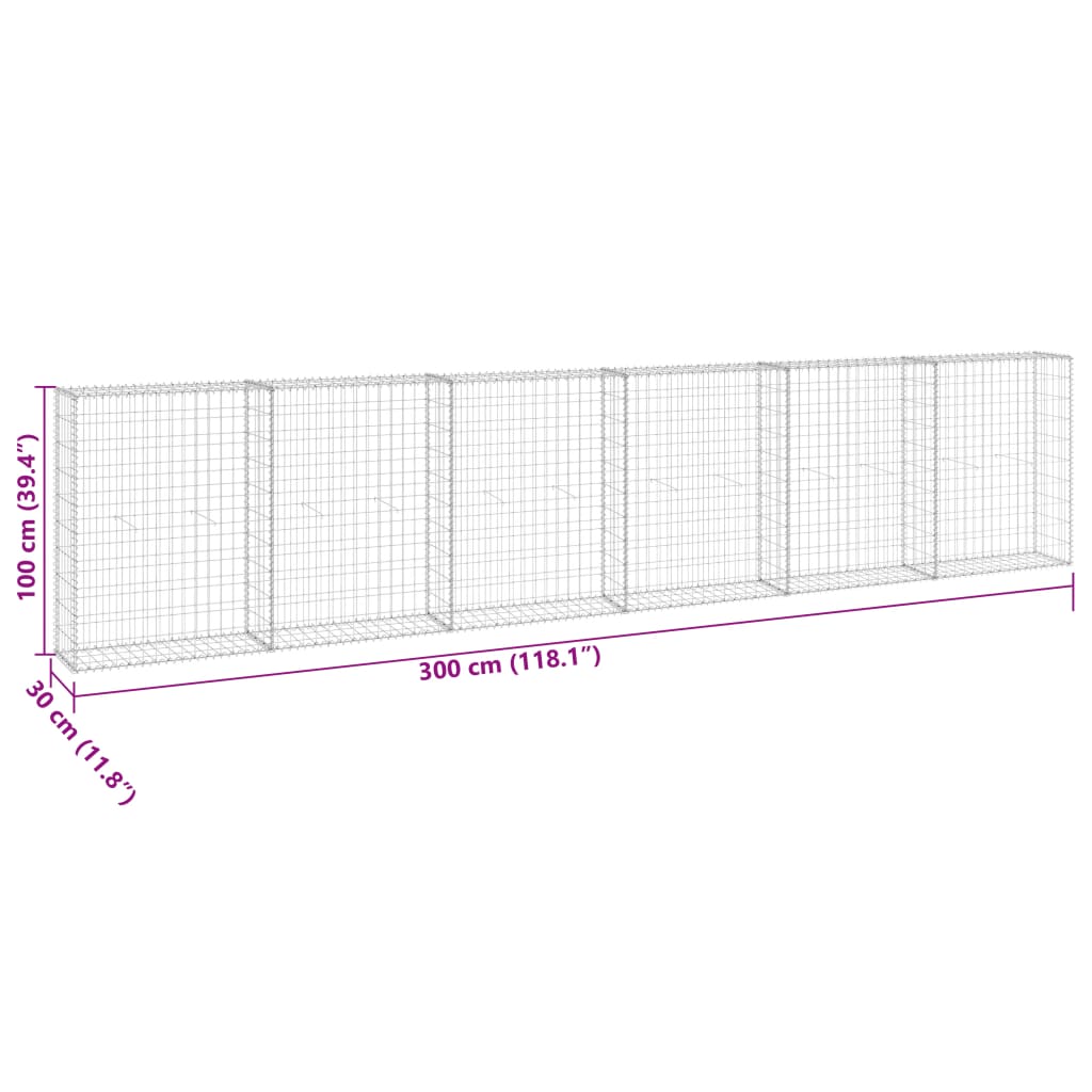 Mur en gabion avec couvercles Acier galvanisé 300x30x100 cm