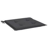 Coussins de chaise de jardin lot de 2 anthracite 40x40x3 cm