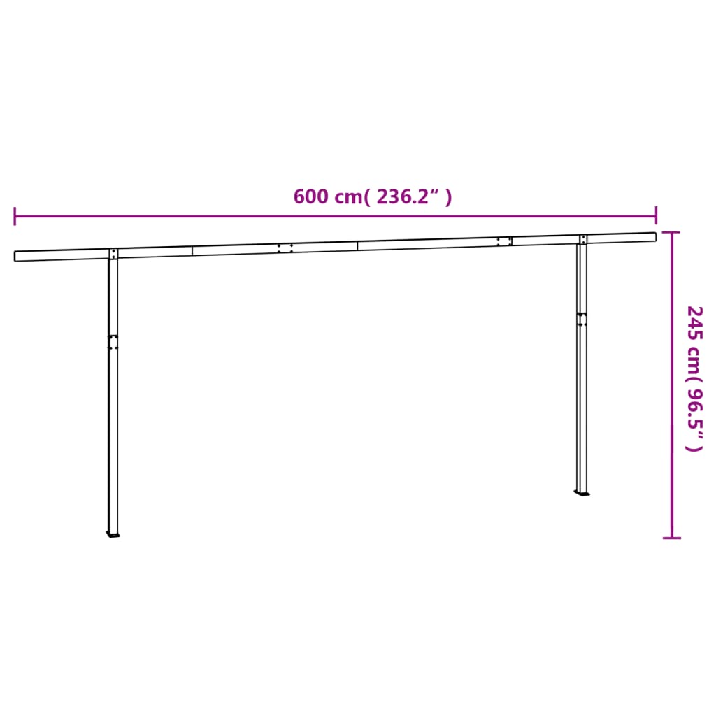 Jeu de poteaux d'auvent anthracite 600x245 cm fer