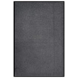 Anthracite doormat 80x120 cm