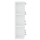 Mirror cabinet with LED White 70x16.5x60 cm