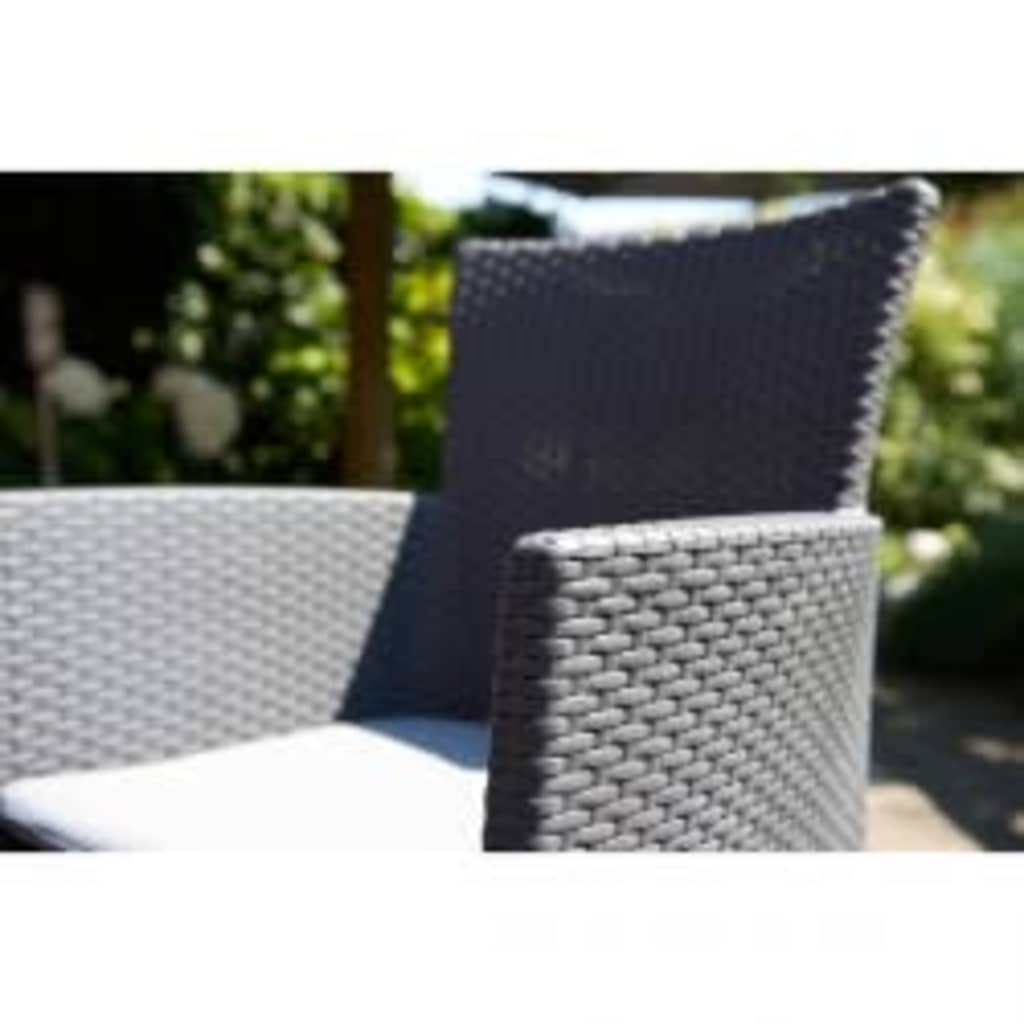 Allibert Chaises de salle à manger de jardin 2 pcs Iowa Graphite