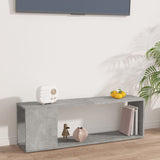 Concrete Grey TV Cabinet 100x24x32 cm Engineered Wood