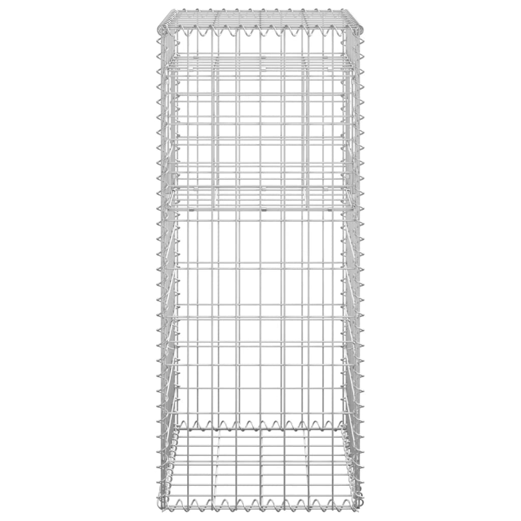 Gabion Basket Posts 2 pcs 40x40x100 cm Iron