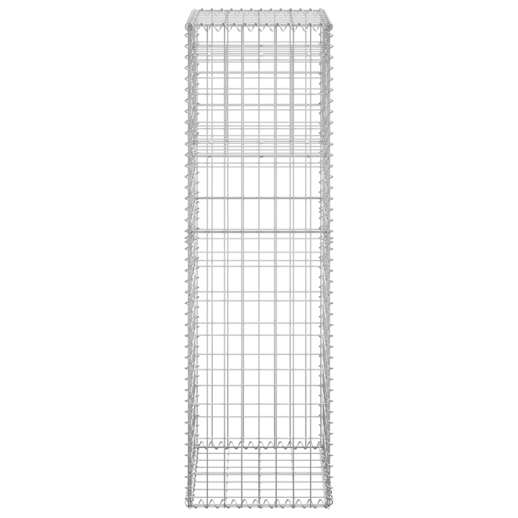 Gabion Basket Posts 2 pcs 40x40x140 cm Iron