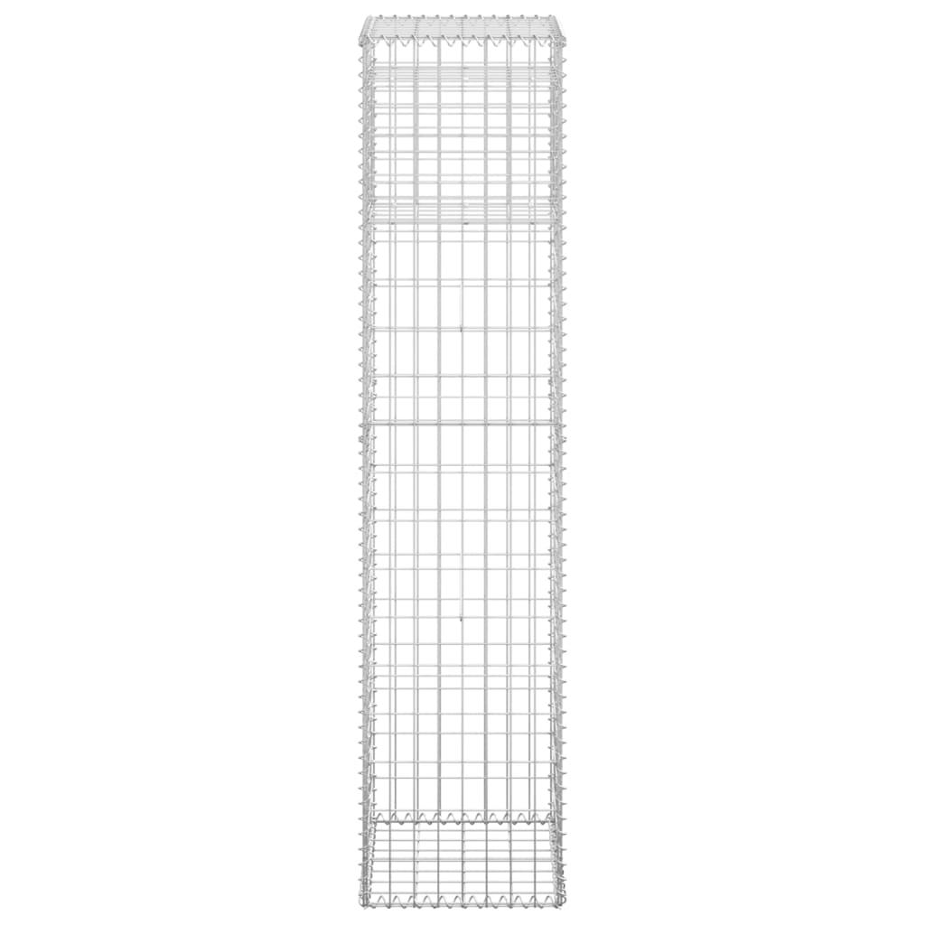 Poteaux à panier de gabion 2 pcs 40x40x180 cm Fer