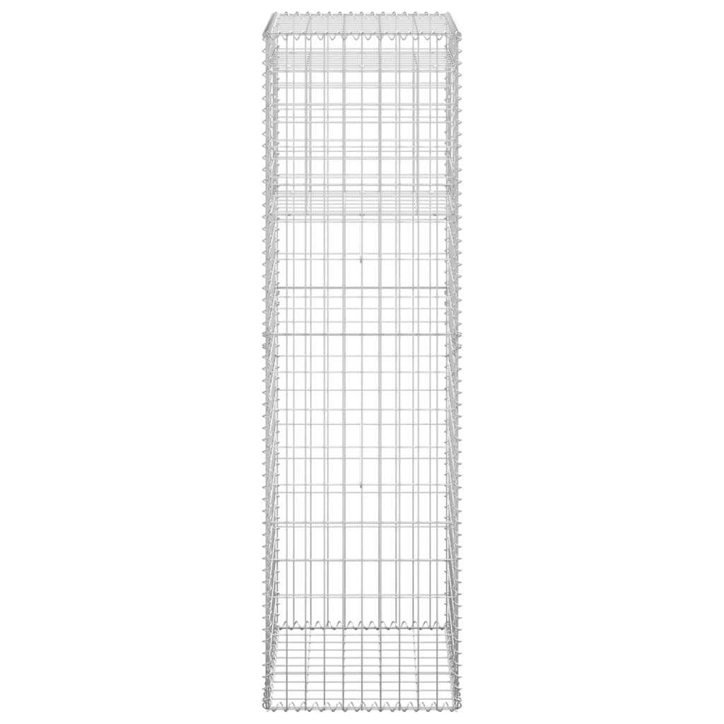 Poteaux à panier de gabion 2 pcs 50x50x180 cm Fer