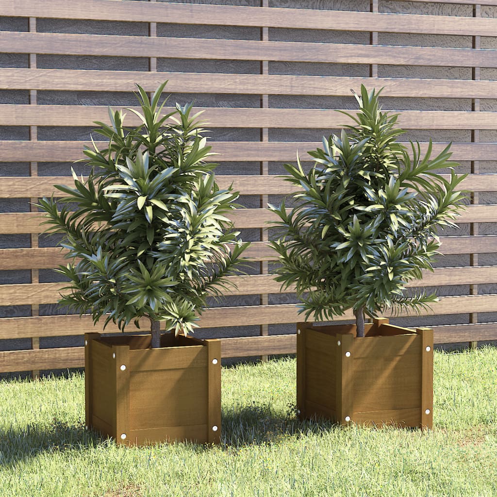 Jardinières d'extérieur 2pcs Marron miel 31x31x31cm Bois de pin