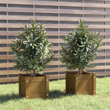 Jardinières d'extérieur 2pcs Marron miel 31x31x31cm Bois de pin