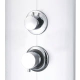 Shower panel 25x43x110 cm Silver