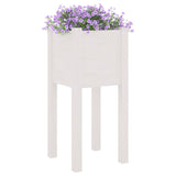 Jardinières d'extérieur 2 pcs Blanc 31x31x70 cm Bois de pin