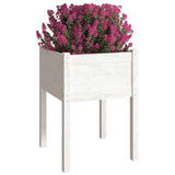 White Planter 50x50x70 cm Solid Pine Wood