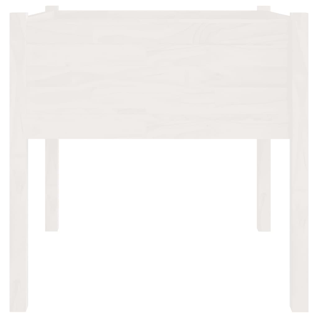 Jardinières 2 pcs Blanc 70x70x70 cm Bois de pin massif