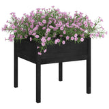 Planters 2 pcs Black 70x70x70 cm Solid pine wood