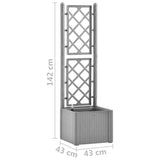 Lit surélevé de jardin et treillis et système d'arrosage Gris