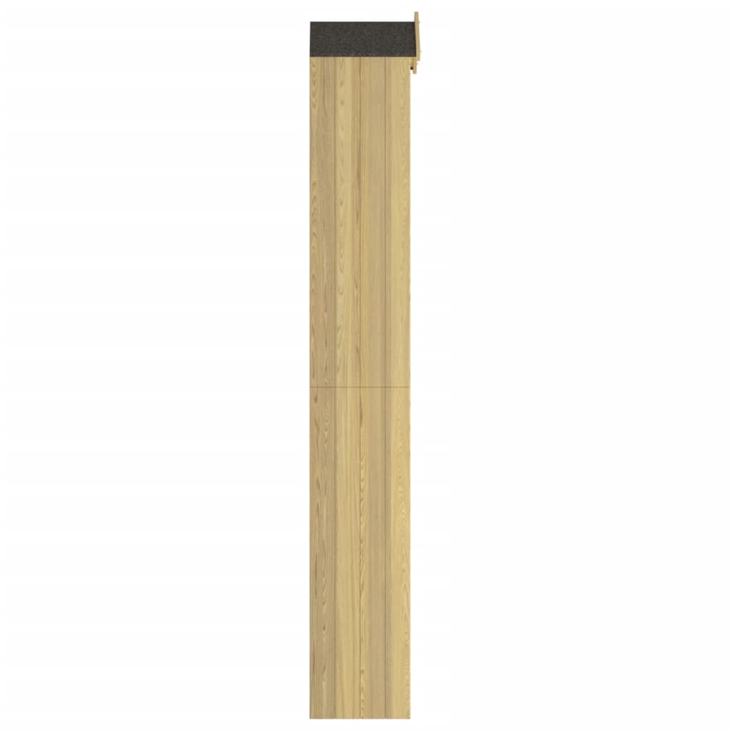 Abri à outils de jardin 40x33x222 cm Bois de pin imprégné