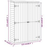 Abri à outils de jardin 123x45x171 cm Bois de pin imprégné