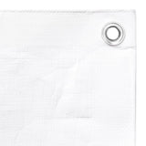 Bâche 260 g/m² 3x3 m Blanc PEHD