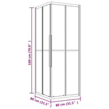 Cabine de douche ESG dépoli 80x80x180 cm