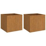 Jardinières 2 pcs 32x30x29 cm acier corten