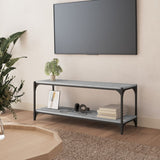 Meuble TV Sonoma gris 100x33x41 cm Bois d'ingénierie et acier