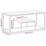 Table basse argenté acier inoxydable et bois de mélèze massif