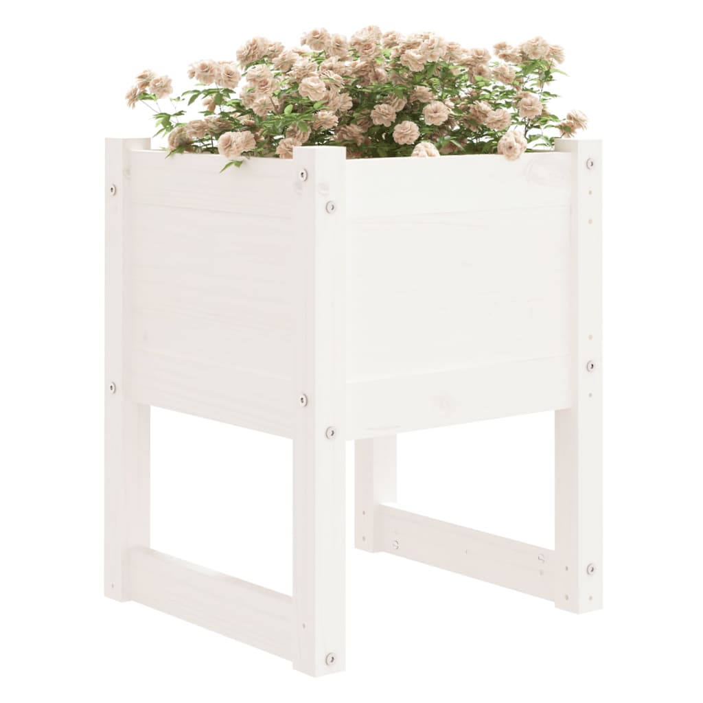 Jardinières 2 pcs Blanc 40x40x52,5 cm Bois massif de pin