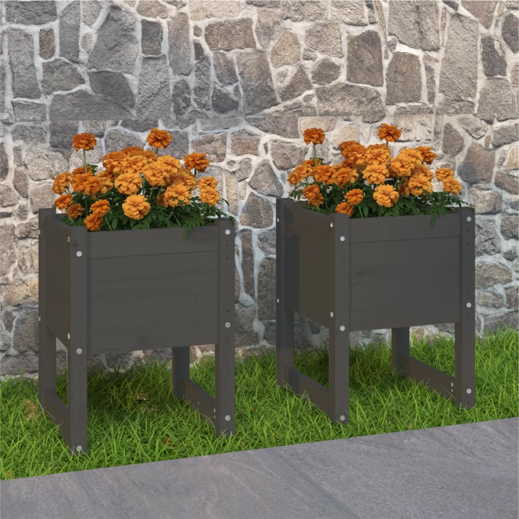 Planters 2 pcs Grey 40x40x52.5 cm Solid pine wood