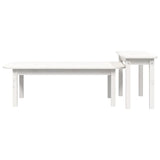 Ensemble de tables basses 2 pcs Blanc Bois massif de pin