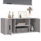 Meuble TV Sonoma gris 100x35x40 cm Bois d'ingénierie