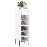 Armoire à chaussure Blanc brillant 30x35x105 cm Bois ingénierie