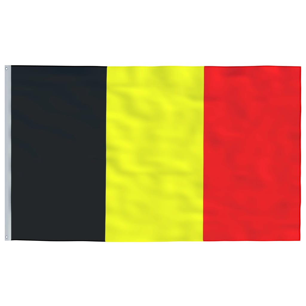 Belgium flag and pole 6.23 m Aluminum