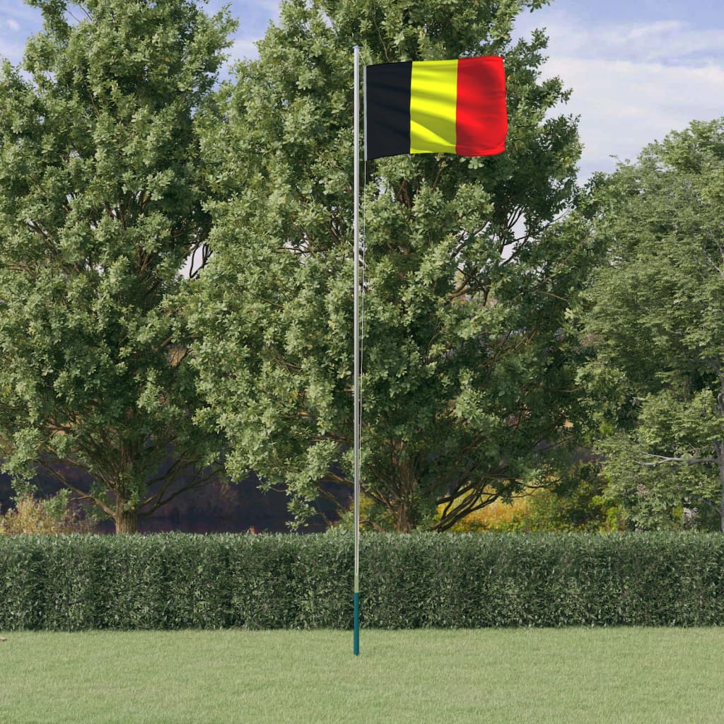 Belgium flag and pole 6.23 m Aluminum