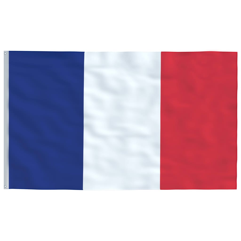 Flag of France and mast 5.55 m Aluminum