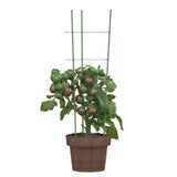 Supports pour plantes de jardin 3 anneaux 5pcs Vert 60 cm Acier