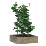 Supports pour plantes de jardin 3 anneaux 5pcs Vert 75 cm Acier