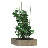 Supports pour plantes de jardin 4 anneaux 5pcs Vert 90 cm Acier