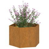 Jardinière Rouillé 60x60x45 cm Acier corten