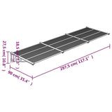 Auvent de porte Noir et transparent 297,5x90 cm Polycarbonate