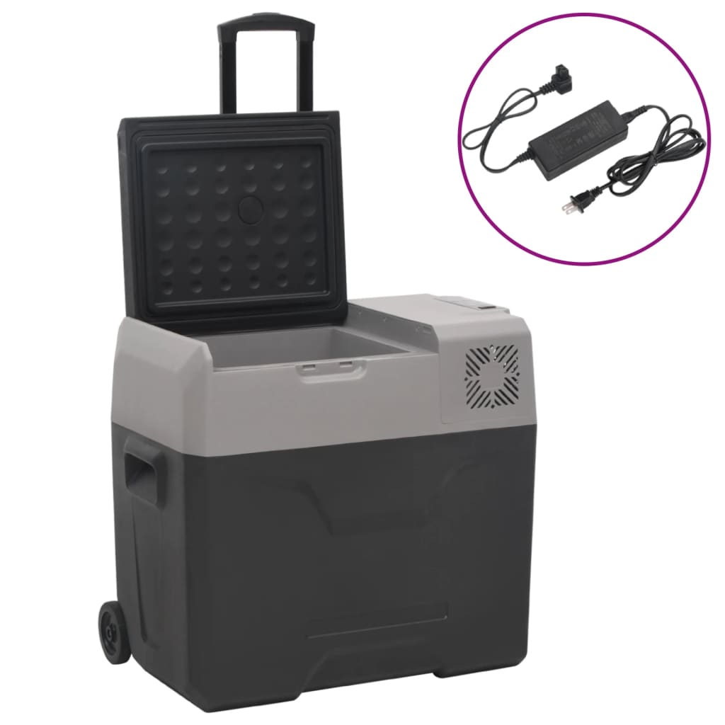 Kühlbox mit Rad und schwarzem und grauem Adapter 30L Polypropylen