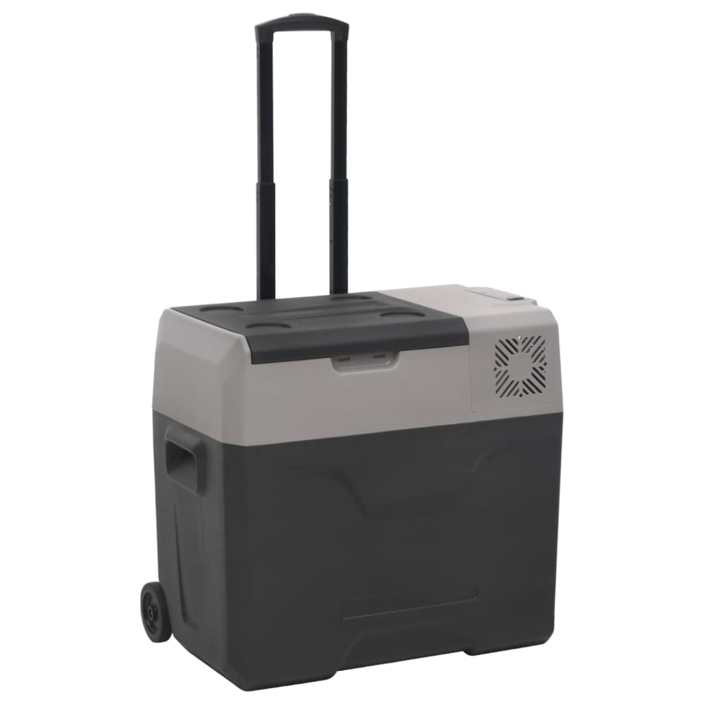 Glacière avec roue et adaptateur noir et gris 50L polypropylène