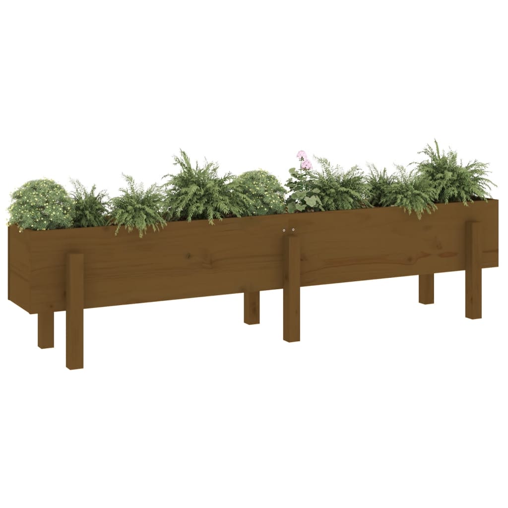 Lit surélevé de jardin marron miel 160x30x38 bois de pin massif