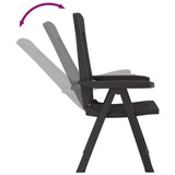 Chaises inclinables de jardin lot de 2 anthracite PP