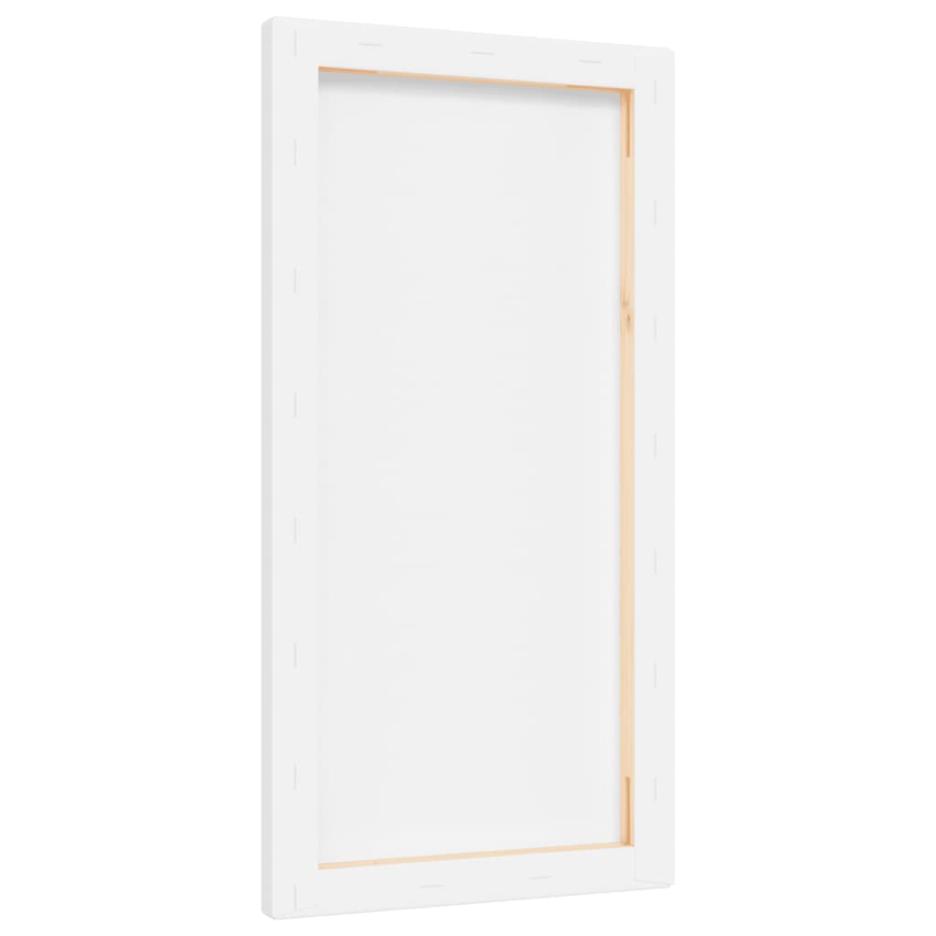 Toiles à peindre 12 pcs blanc tissu et bois massif pin