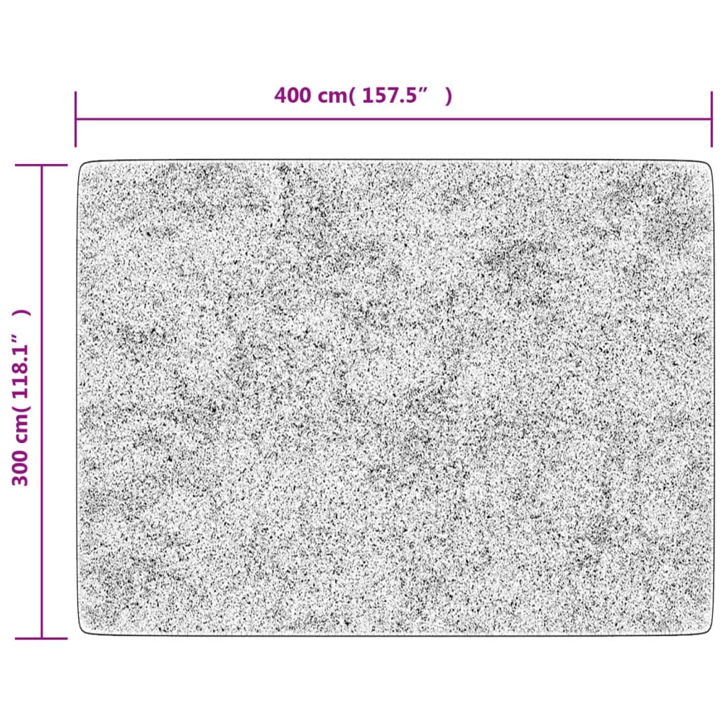 Tapis lavable gris 400x300 cm antidérapant